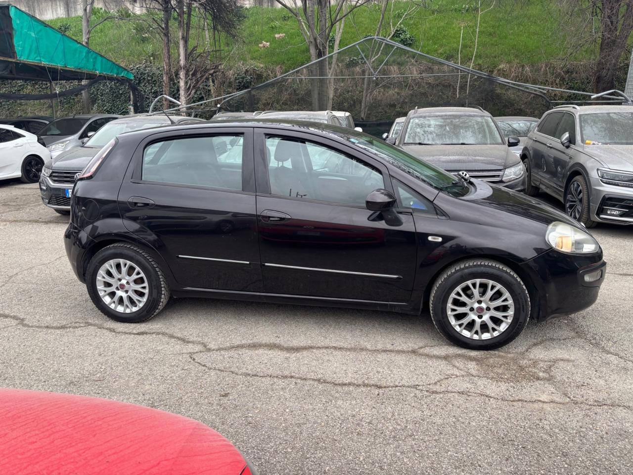 Fiat Punto Evo 1.2 5 porte GPL OK NEOPATENTATI
