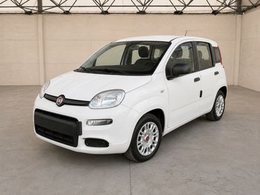 FIAT Panda III 2021 - Panda 1.0 firefly hybrid s&s 70cv 5p.ti