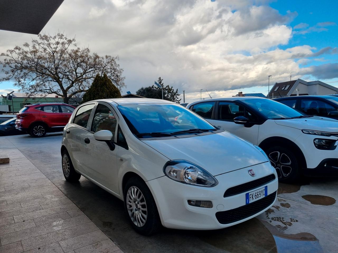 Fiat Punto 1.3 MJT II S&S 95 CV 5 porte Street