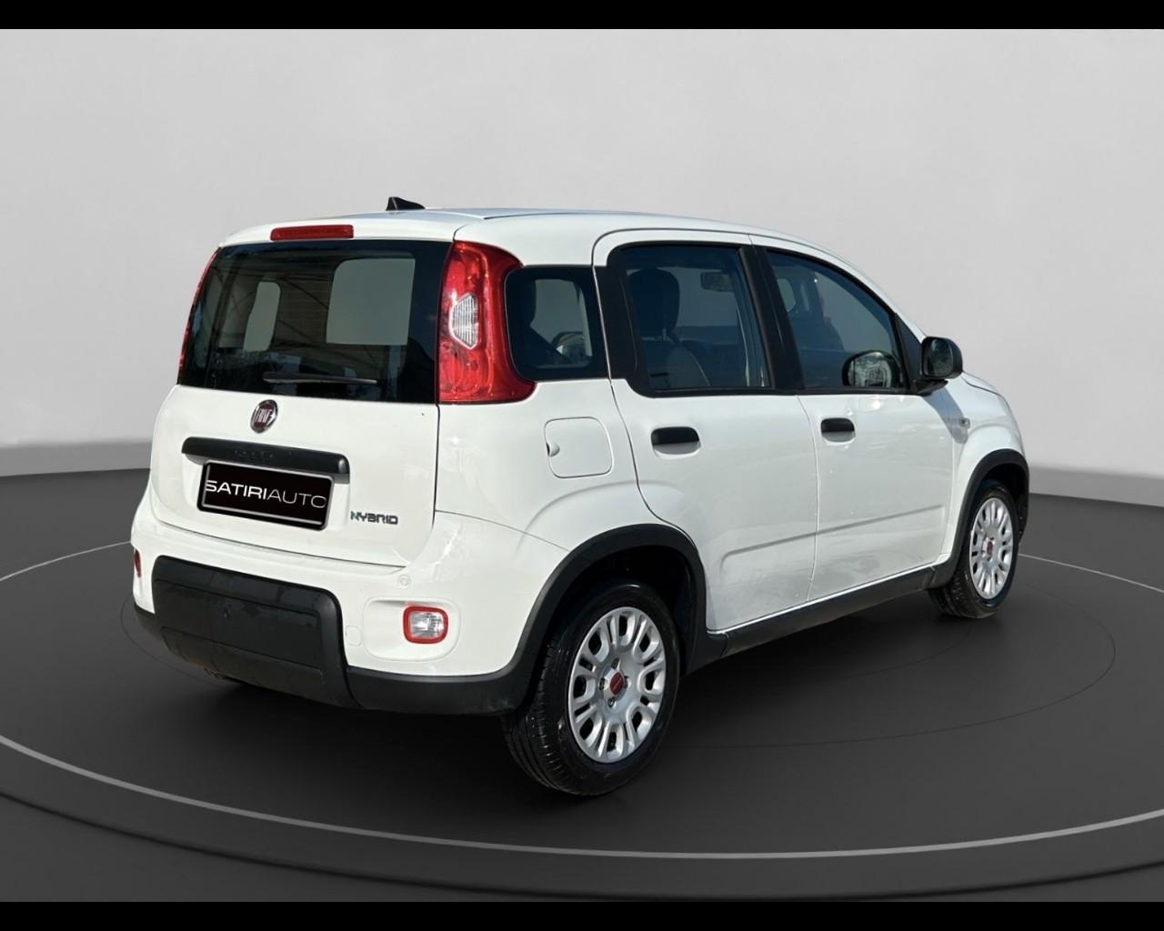 FIAT Panda III 2021 - Panda 1.0 firefly hybrid s&s 70cv