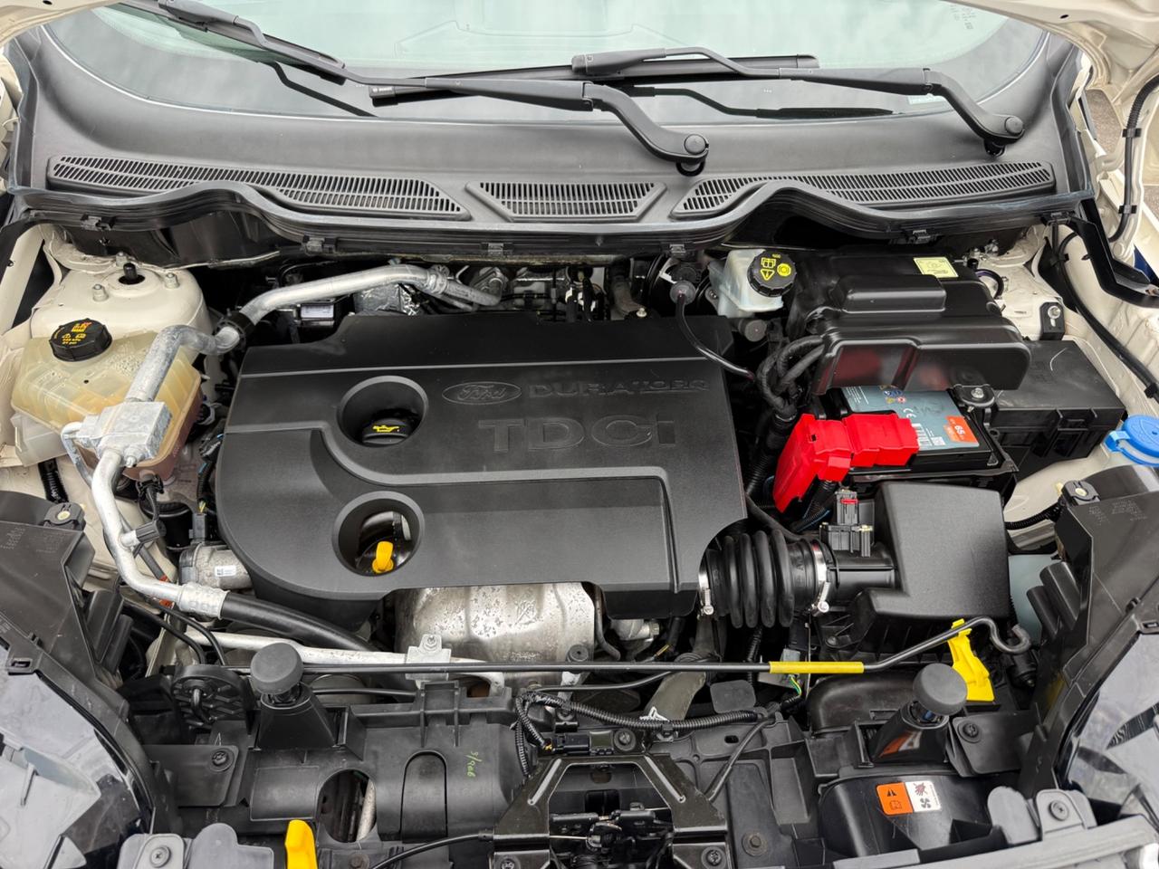 Ford EcoSport 1.5 TDCi 90 CV Titanium