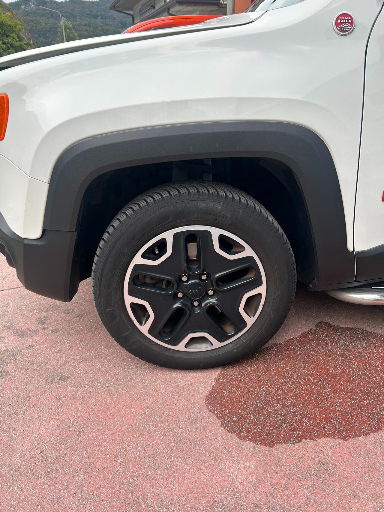 Jeep Renegade 2.0 mjt Trailhawk 4wd 170cv auto