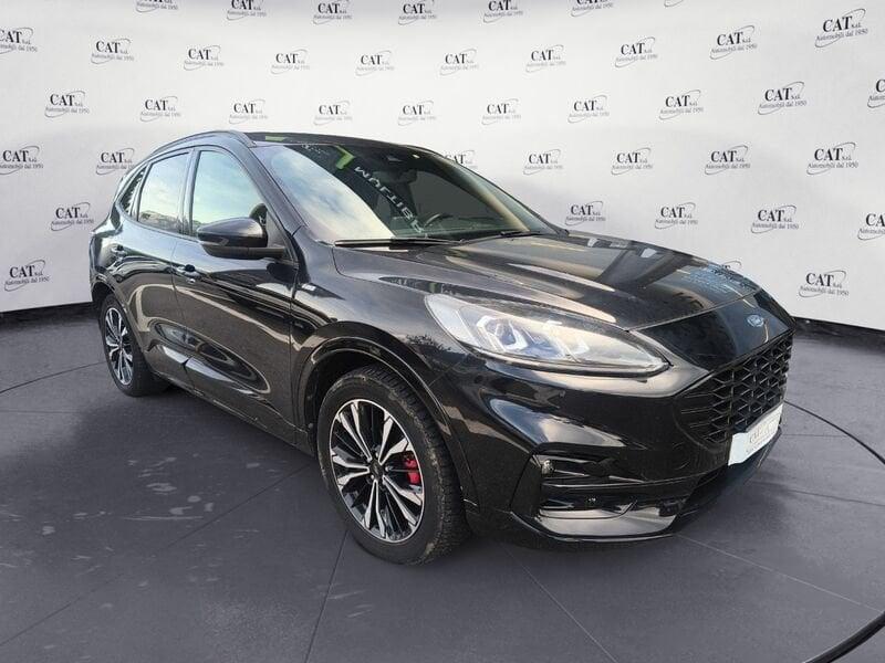 Ford Kuga Kuga 2.0 ecoblue ST-Line X awd 190cv auto