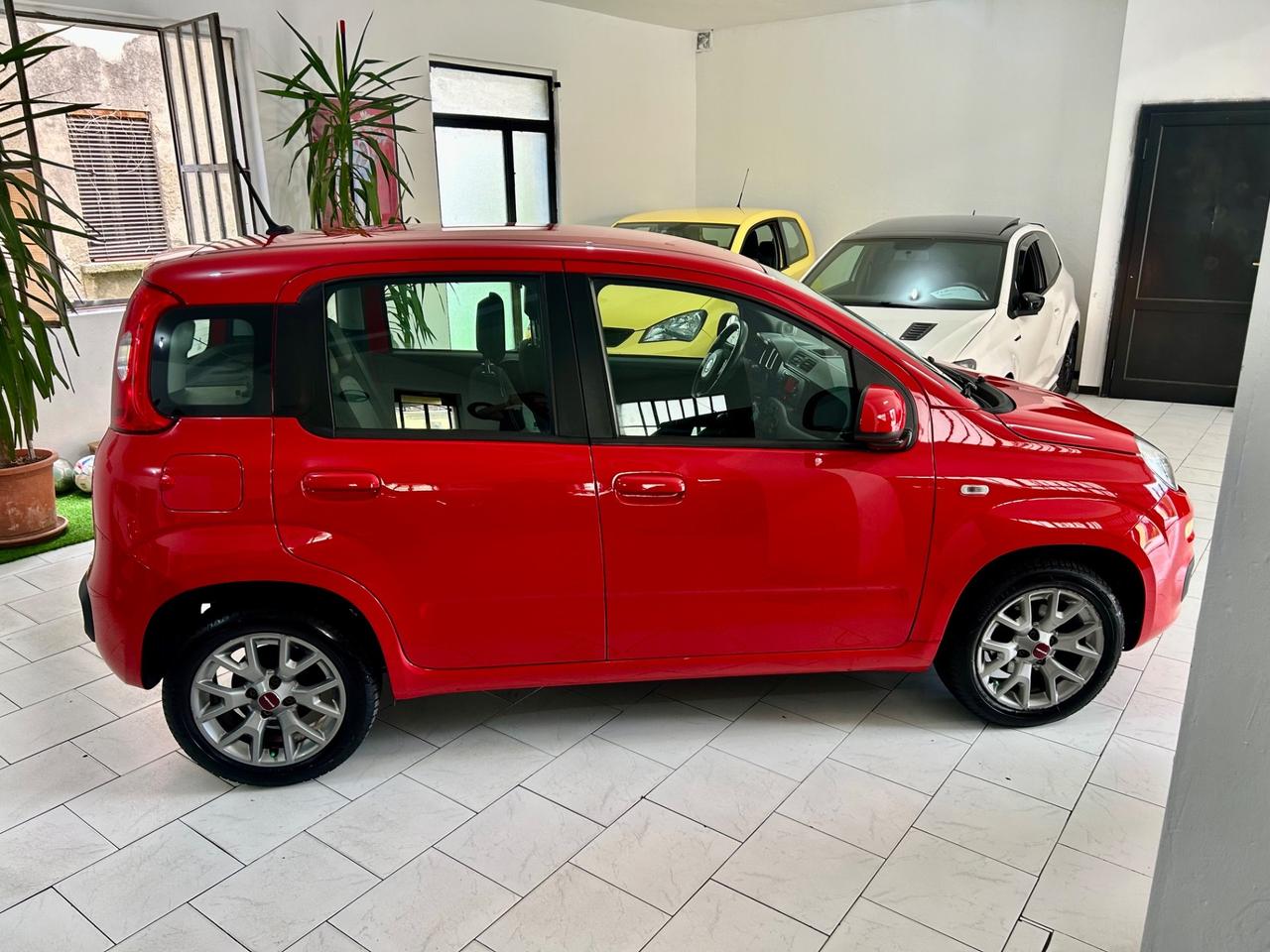 Fiat Panda 1.2 Lounge *sedili riscaldabili*sensori Park*5posti