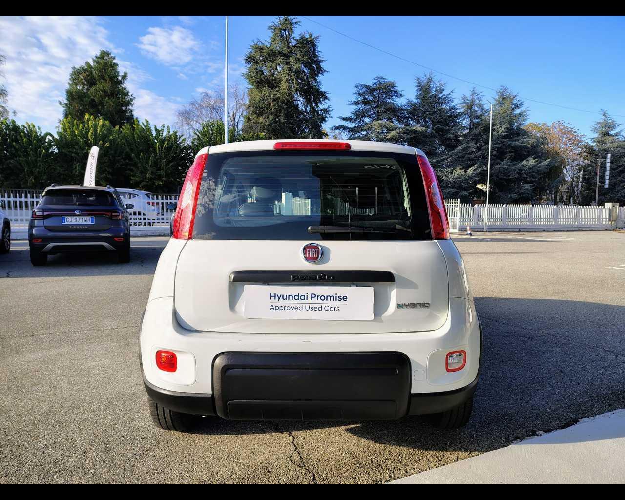 FIAT Panda III 2021 - Panda 1.0 firefly hybrid s&s 70cv