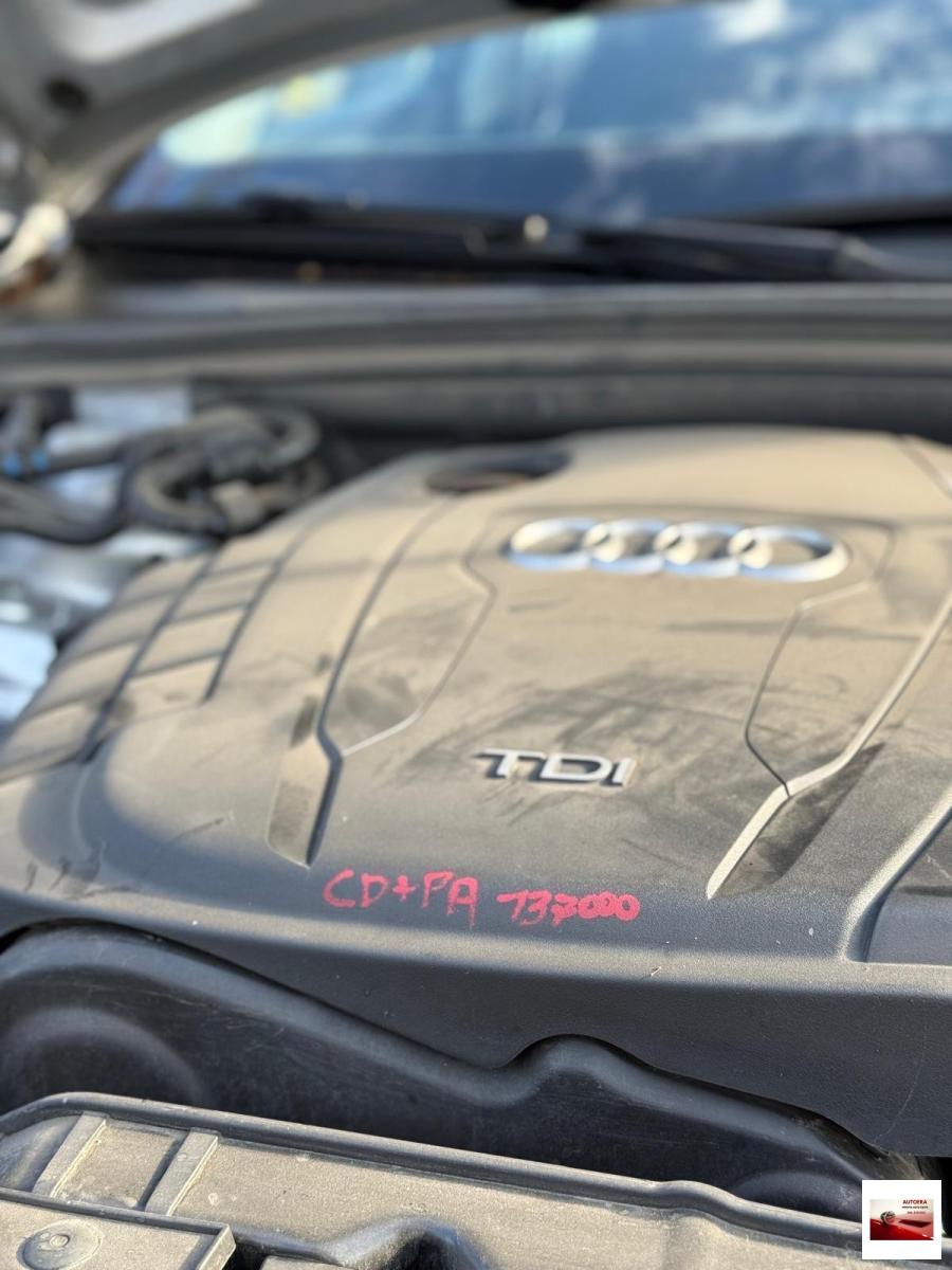 AUDI - A4 Avant - 2.0 TDI 120 CV Business Plus