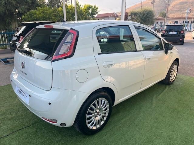 Fiat Punto 1.2 8V 5 porte YOUNG (GPL)