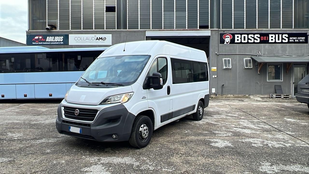 Minibus 9 posti per disabili usato Fiat Ducato 290