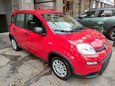 Fiat Panda Pandina 1.0 FireFly S&S Hybrid