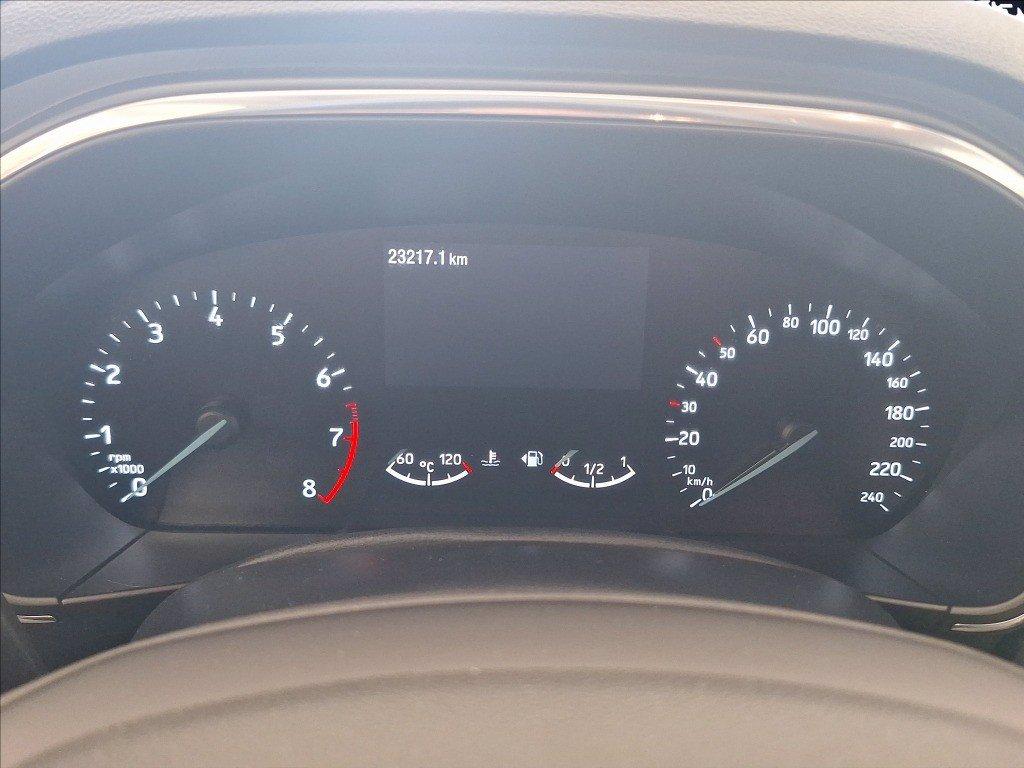FORD Focus Active 1.0t ecoboost h 125cv del 2024