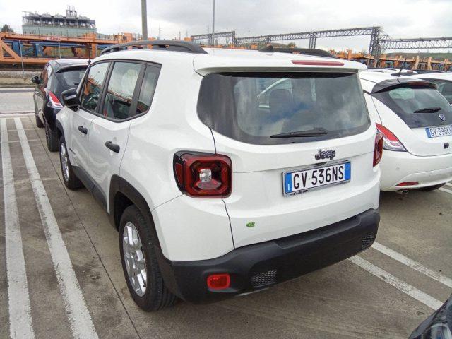 JEEP Renegade 1.5 turbo t4 mhev Altitude 2wd dct
