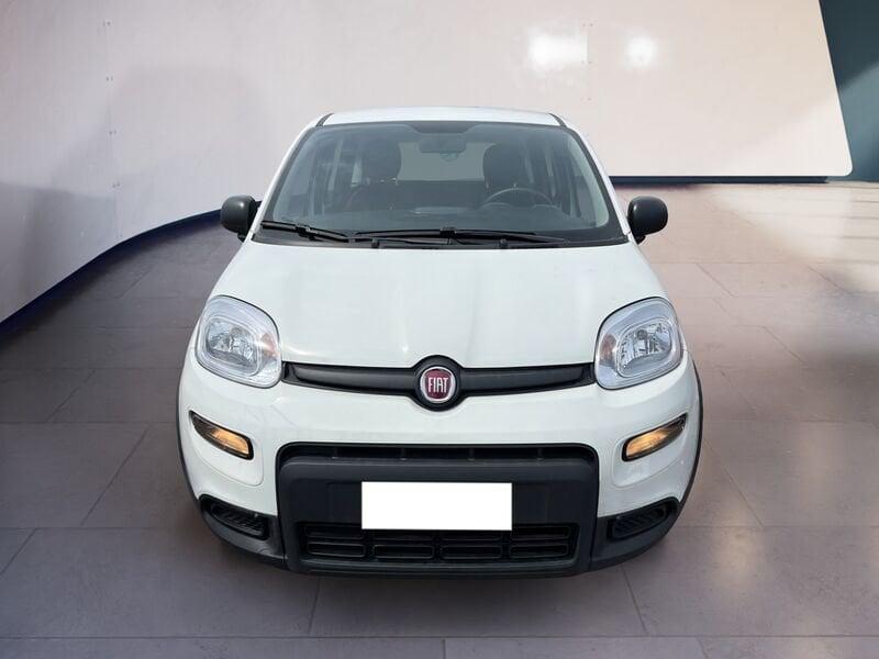FIAT Panda My23 1.0 70cv Hybrid Panda