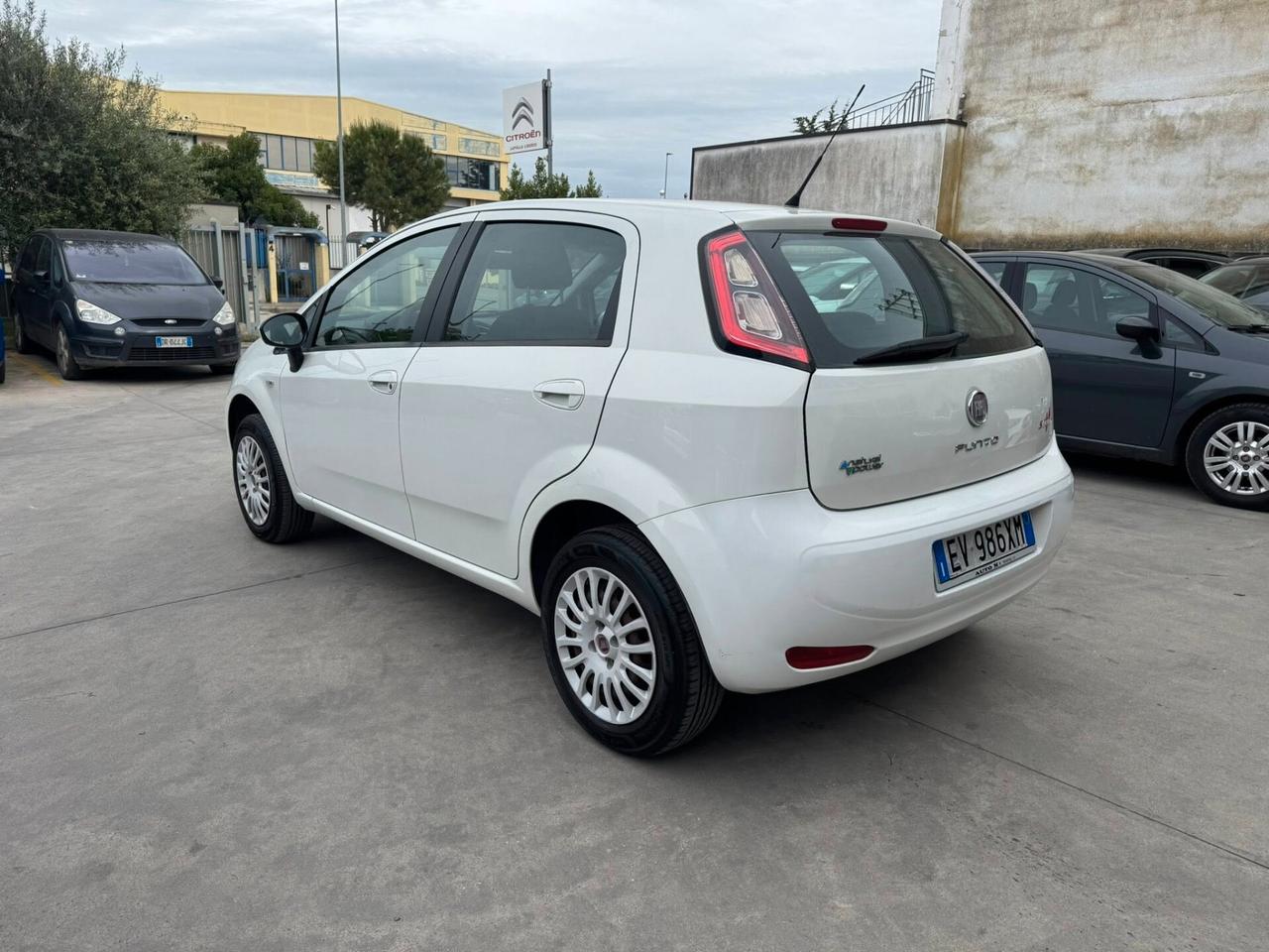 Fiat Punto 1.4 8V 5 porte Natural Power Street METANO
