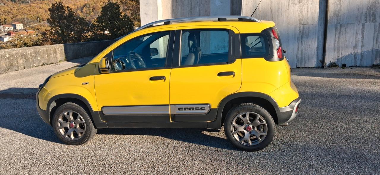 Fiat Panda 1.3 MJT 16V DPF 4x4 Climbing