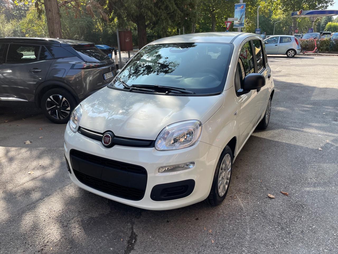Fiat Panda 1.0 FireFly S&S Hybrid Icon