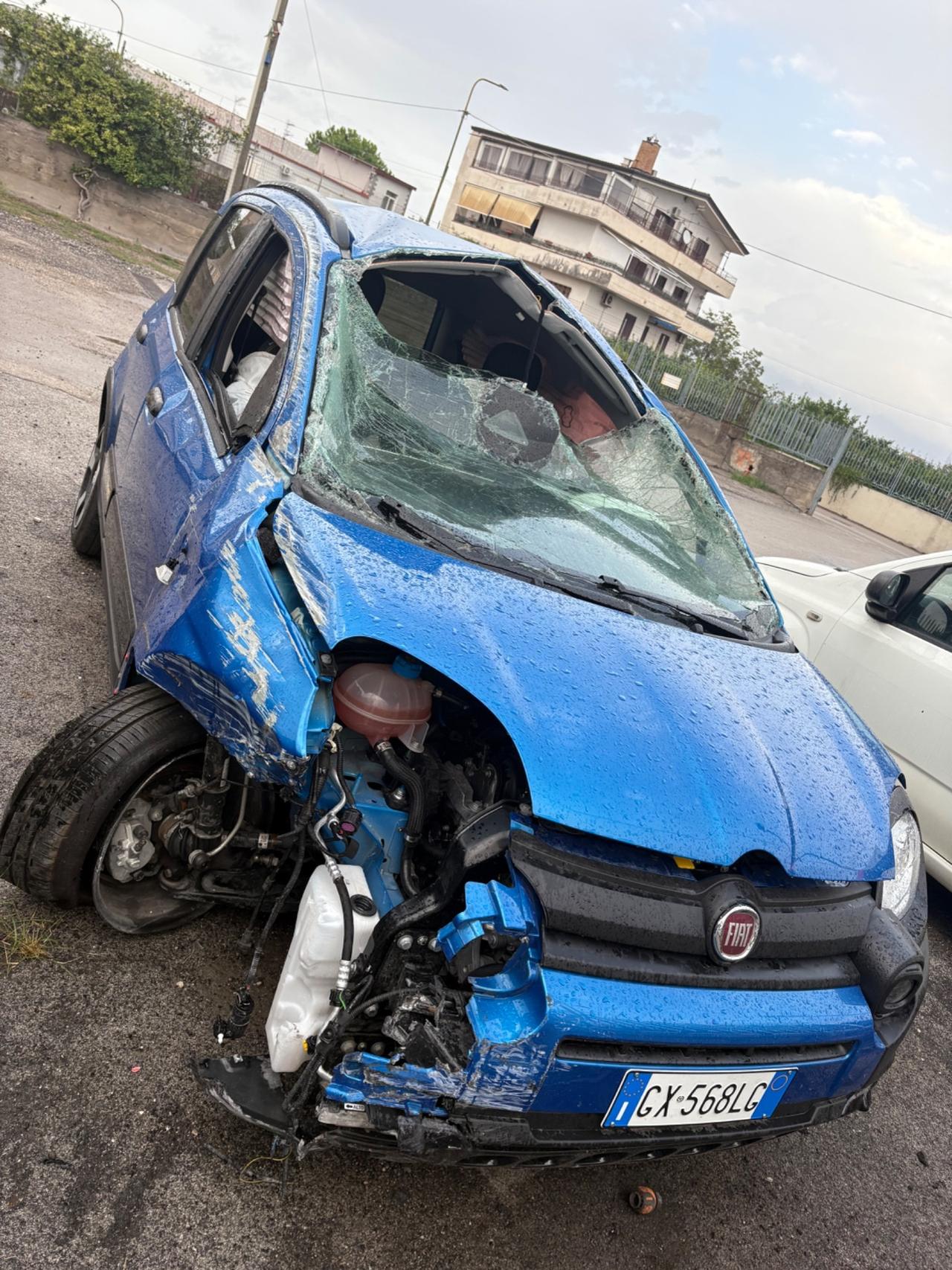 Fiat Panda 1.0 FireFly S&S Hybrid Pandina
