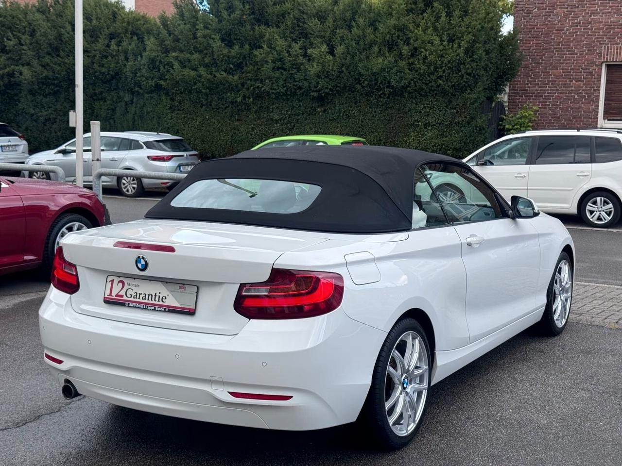 Bmw 218i Cabrio Advantage NAVI,TEIL-LEDER,18"LM