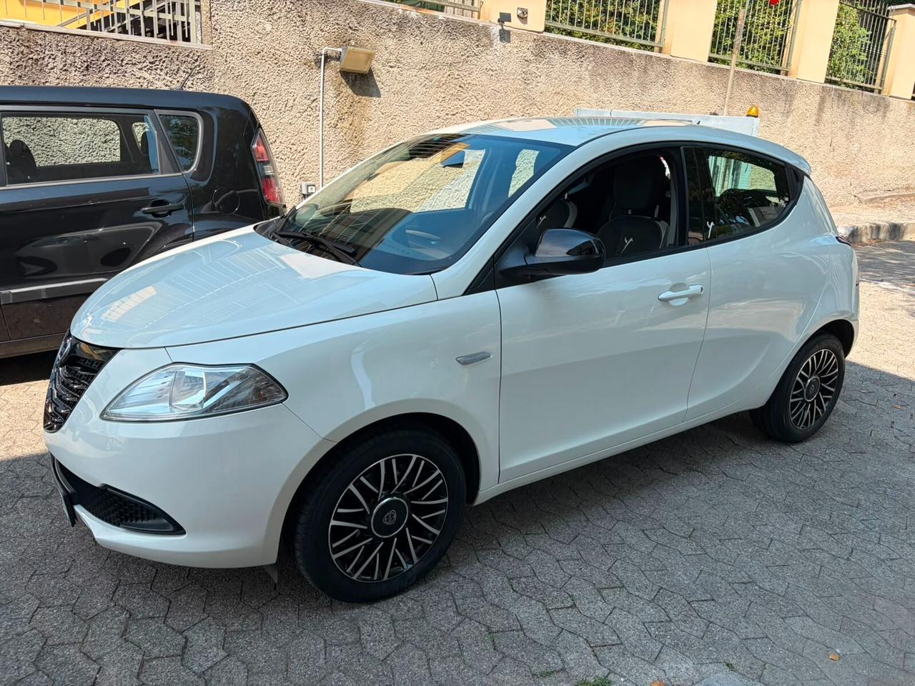 Lancia Ypsilon 1.2 69 CV 5 porte Elefantino*EURO6*NEOPATENTATI