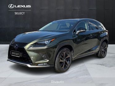 Lexus NX 300 h 2.5 Premium 4wd cvt