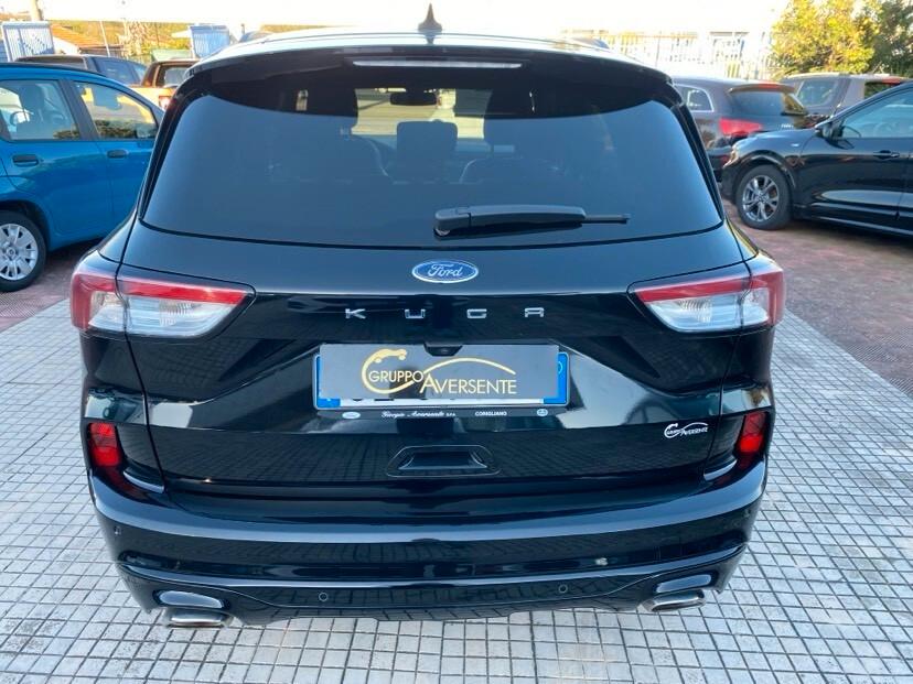 Ford Kuga 1.5 EcoBlue 120 CV aut. 2WD ST-Line X