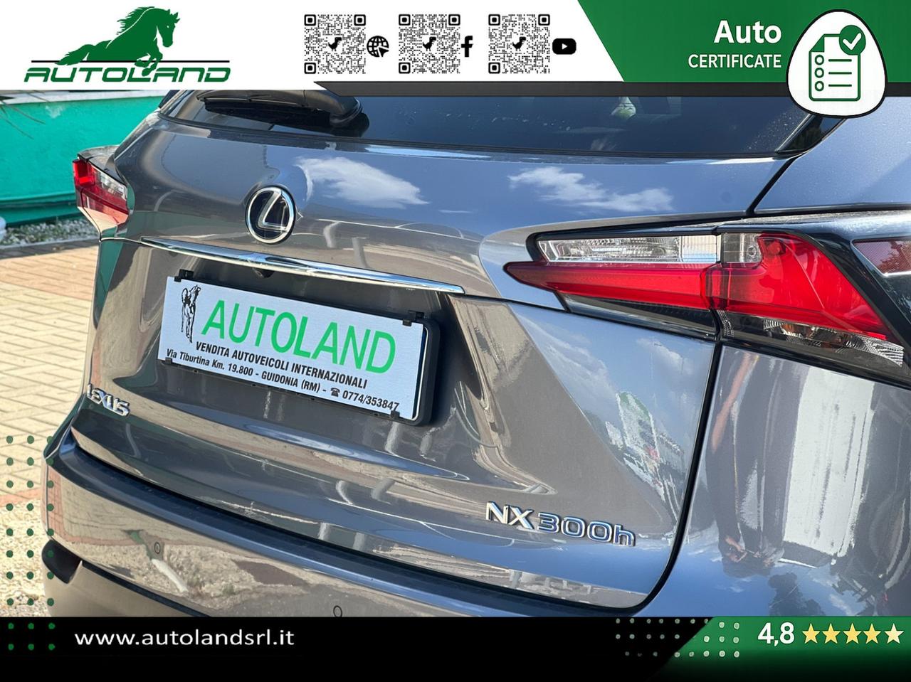 Lexus NX 300h 2.5 F-Sport 4wd