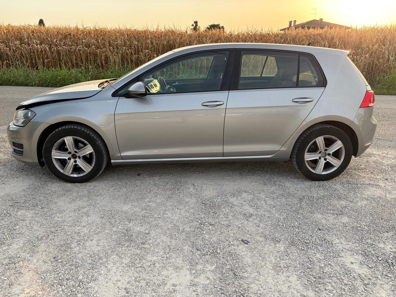 Volkswagen Golf Business 1.6 TDI 5p. Highline BlueMotion Technology