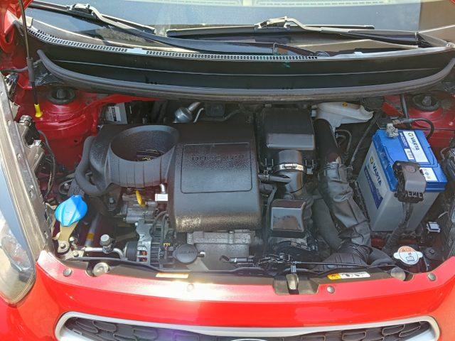 KIA Picanto 1.0 12V EcoGPL 5 porte Active Collection