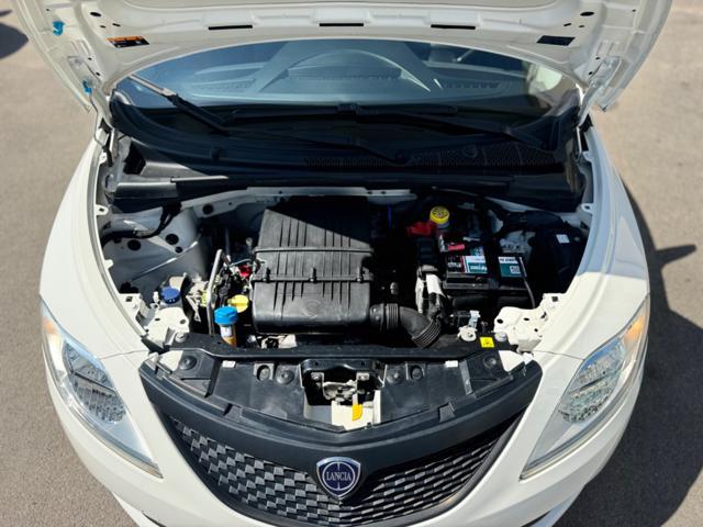 LANCIA Ypsilon 1.2 69 CV 5 porte Elefantino Blu COME NUOVA