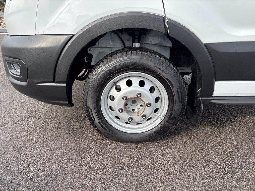 FORD Transit 350 tr.post. 2.0 tdci 130cv trend L3 Scattolini cassone fisso r.gem. del 2025