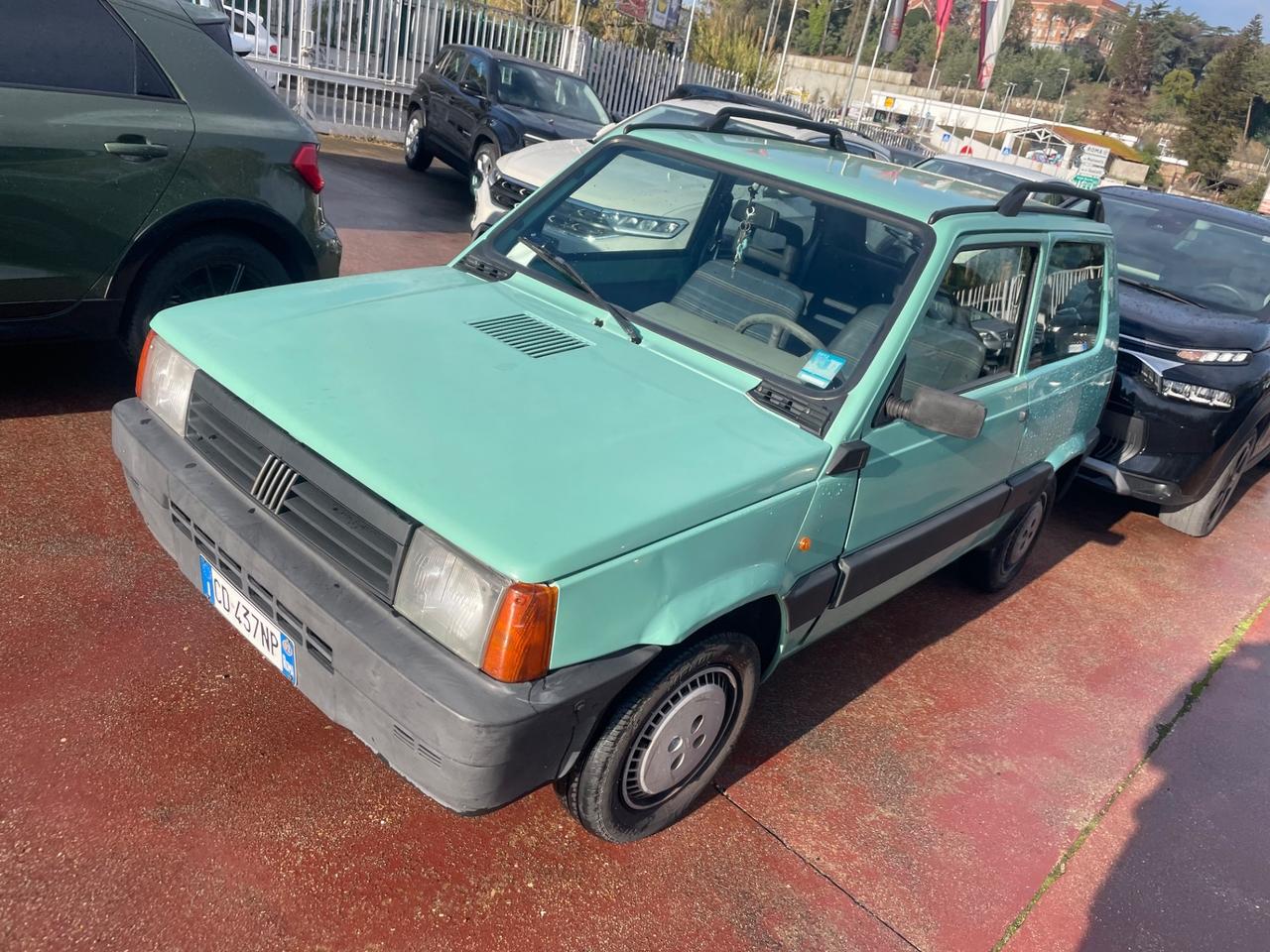 Fiat Panda 1100 i.e. cat Young