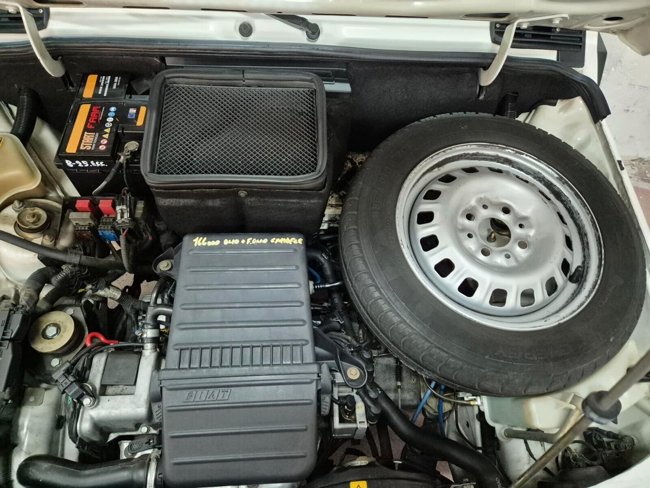 Fiat Panda 1100 i.e. cat Young