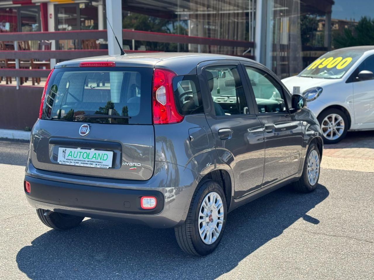 FIAT Panda 1.0 FireFly S&S Hybrid Sensori Parcheggio