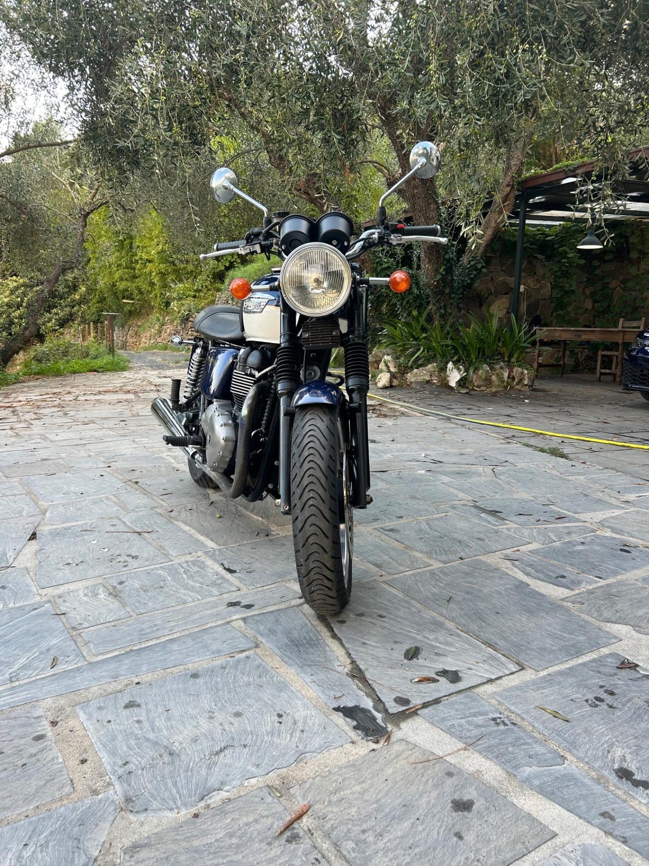Triumph Bonneville se