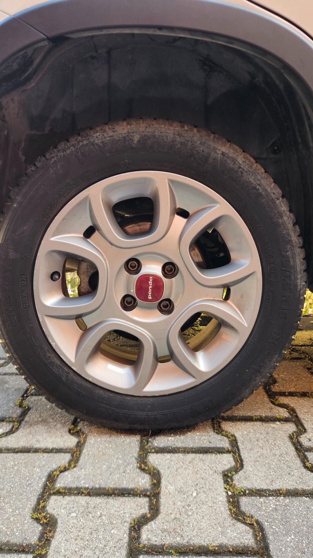 Fiat Panda 1.3 MJT S&S 4x4 Antartica