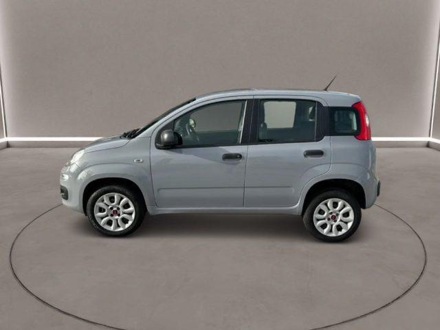 FIAT Panda 3ª serie - 0.9 TwinAir Turbo Natural Power Easy