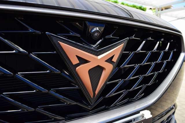 CUPRA Formentor 2.0 TDI 150 cv 4DRIVE DSG