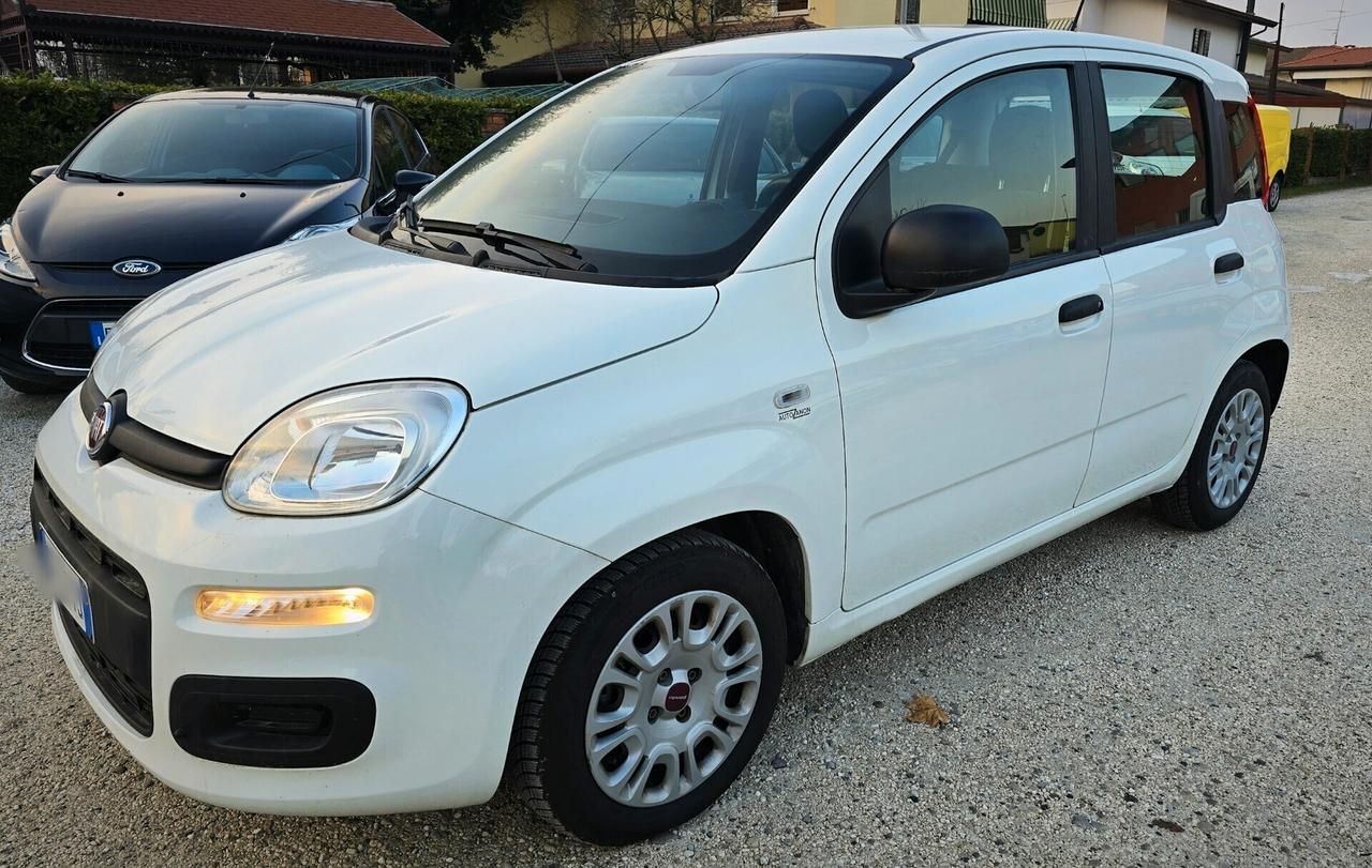 Fiat Panda 1.0 Hybrid - 2020 - PERFETTA