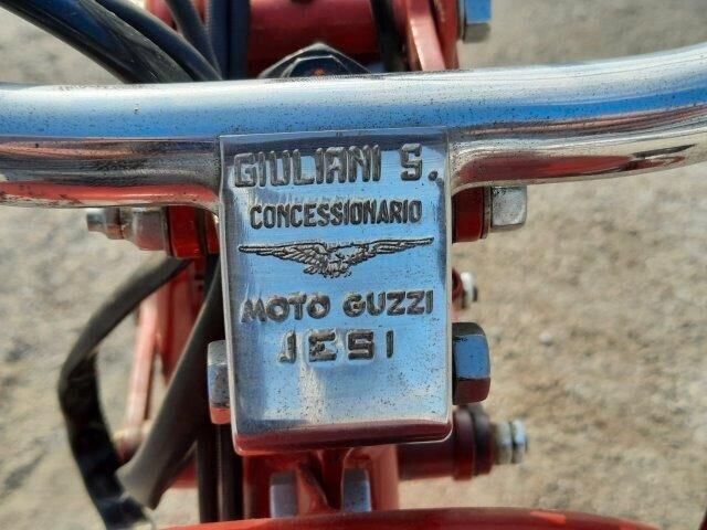 Moto Guzzi Altro Moto Guzzi GUZZINO 65b - 1950