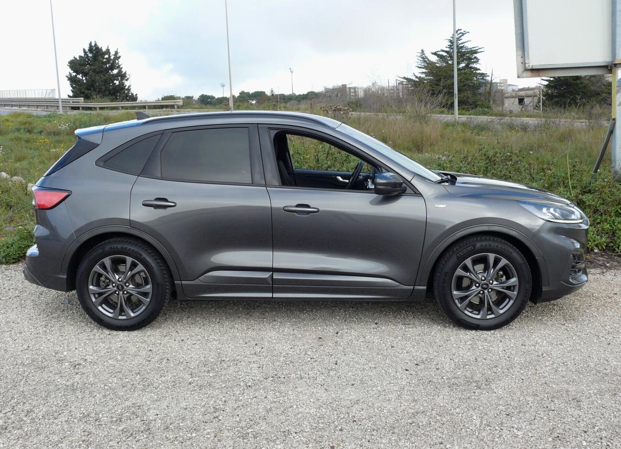 Ford Kuga ST-Line (M1253)