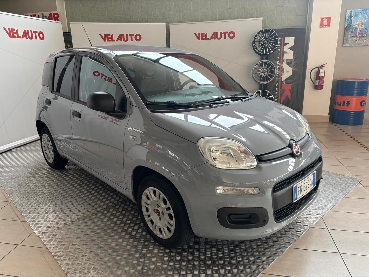 Fiat Panda 1.2 Easy