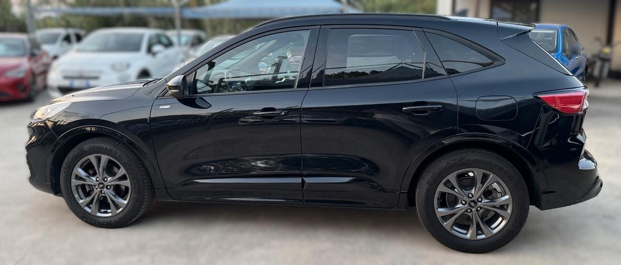 Ford Kuga 1.5 EcoBoost 150 CV 2WD ST-Line