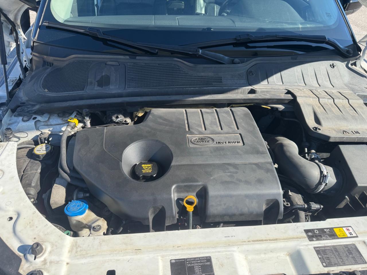 Land Rover Range Evoque 2.0 TD4 150 CV 5p. Business Edition