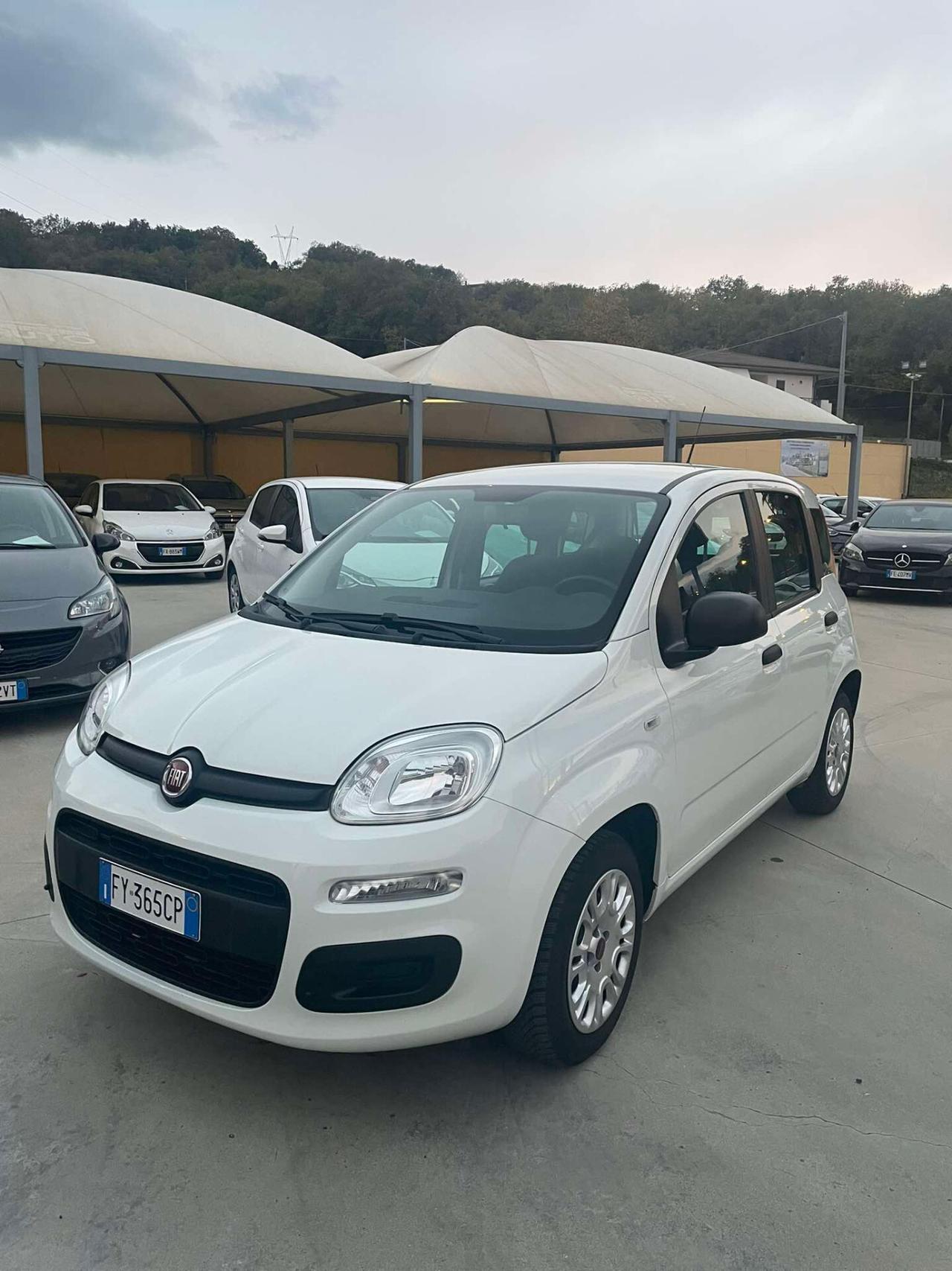 Fiat Panda 1.2 Easy