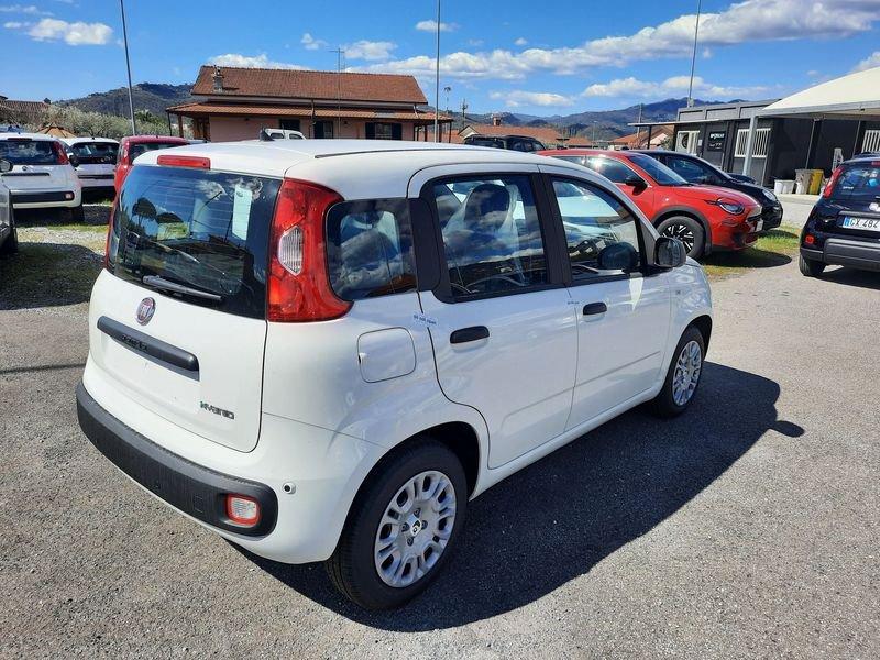FIAT Pandina PANDA MY26 1.0 65CV HYBRID ICON