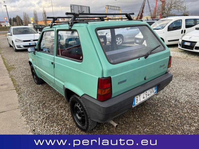 FIAT Panda 1ª serie 1100 i.e. cat Young