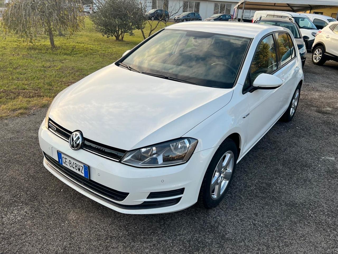 Volkswagen Golf 1.4 TGI 5p. Trendline BlueMotion