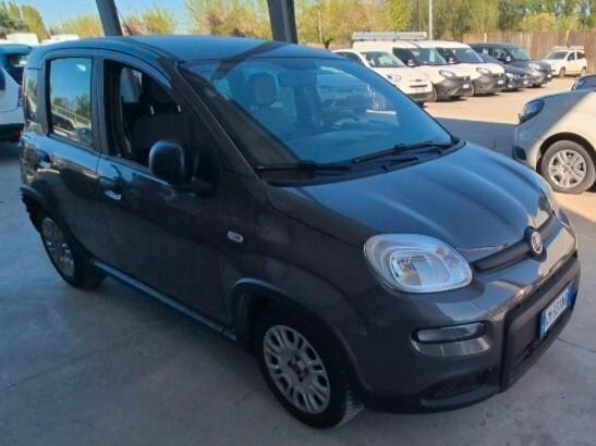 In arrivo Fiat Panda 1.0 FireFly S&S Hybrid City Life 5 posti