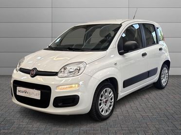 FIAT Panda 3ª serie - Panda 1.2 Pop