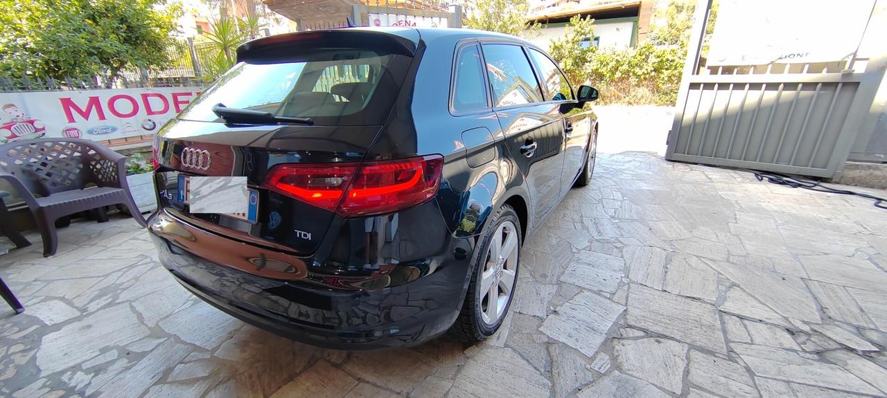 Audi A3 1.6 TDI S tronic Business AUTOMATICA