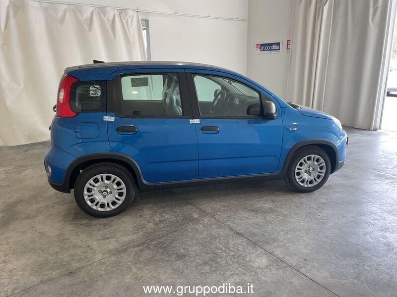 FIAT Panda Serie 7 1.0 70cv HybridPanda